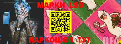 соль ск Будённовск